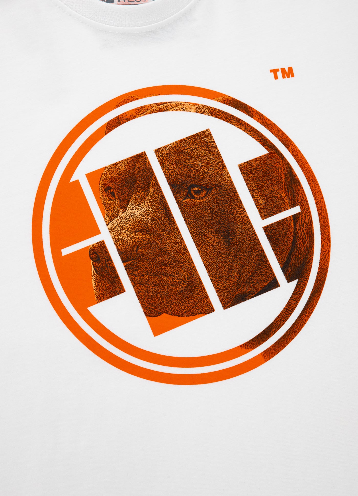 Pitbull T-SHIRT ORANGE DOG WHITE 2020